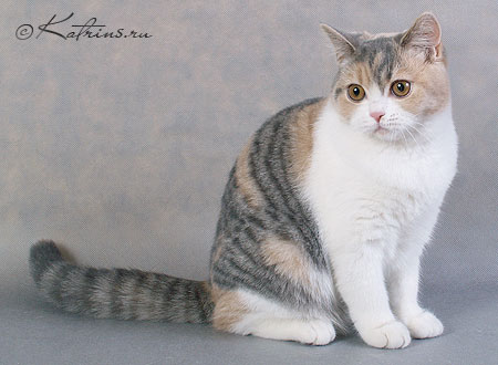 Katrin's Varvara,   