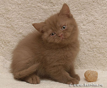  , Katrin's Olga,  