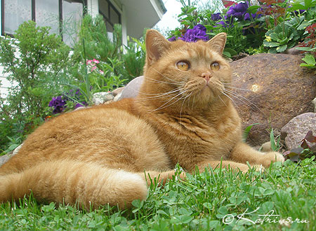  , Katrin's Persey, Unesko, Zephyr   Zahary